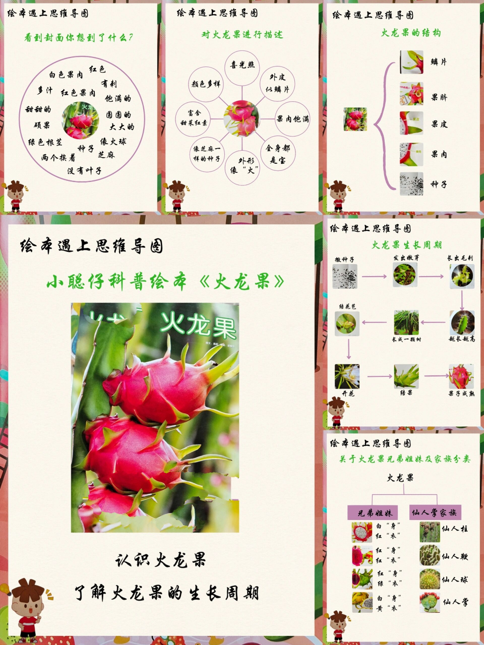 绘本思维导图‖科普绘本《火龙果》 思维导图是阅读的万能公式,是阅读