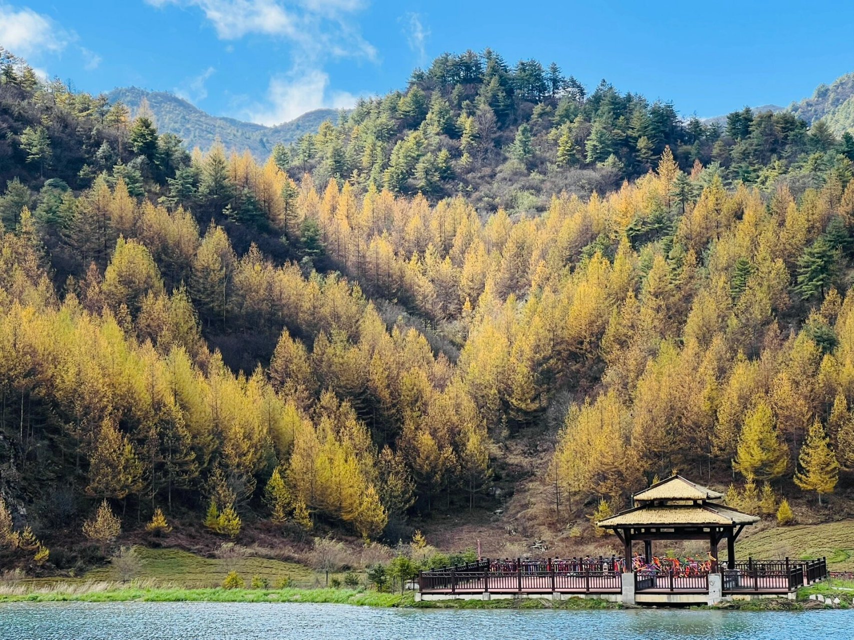 28巫溪红池坝,重庆版川西美哭了 第一次到巫溪红池坝,开车穿过一条