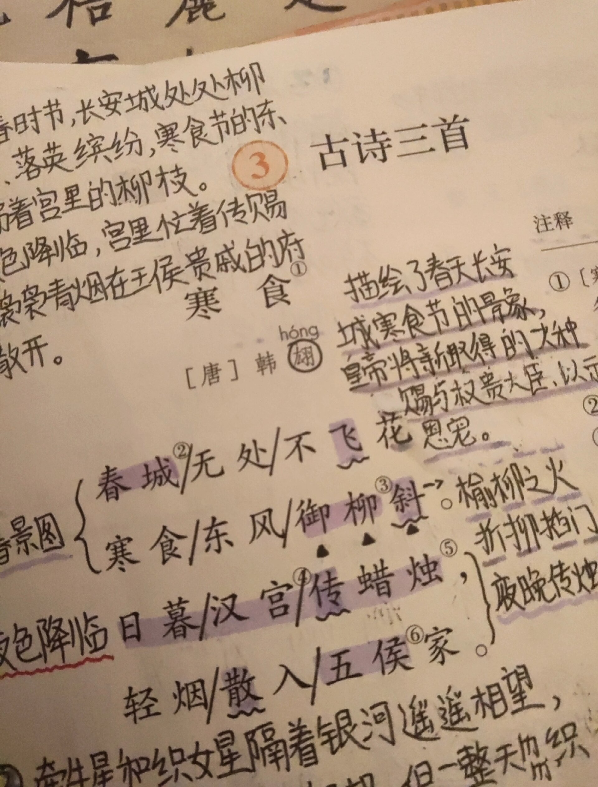 第一次发,字有点丑 以后会日更 ③古诗三首3: 《寒食》诗意: 暮春时节