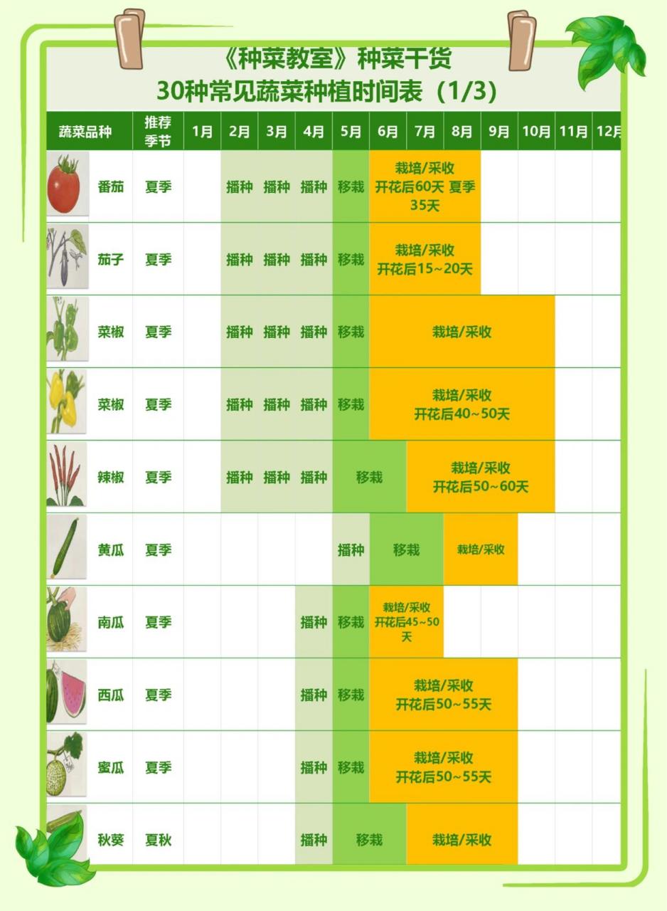 南方蔬菜种植时间表图片