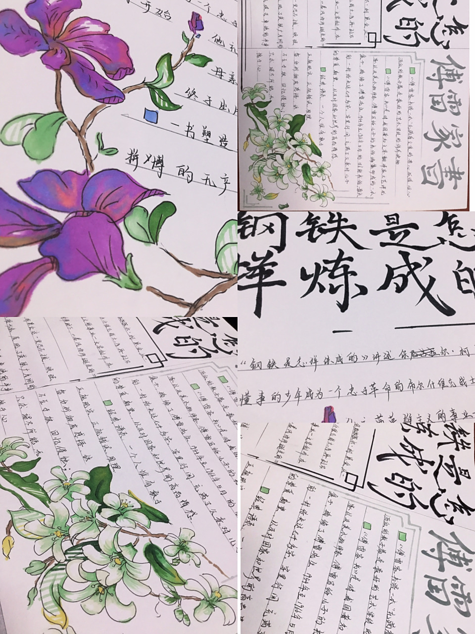 08钢铁 傅雷家书手抄报   啦啦啦～一个多小时搞定的 所以字有些