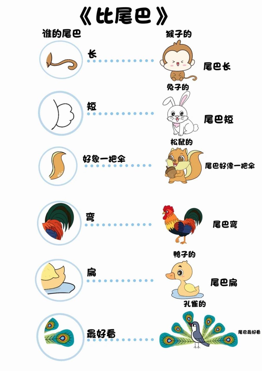 有趣的儿歌66615《比尾巴》   儿歌《比尾巴》 谁的尾巴长?