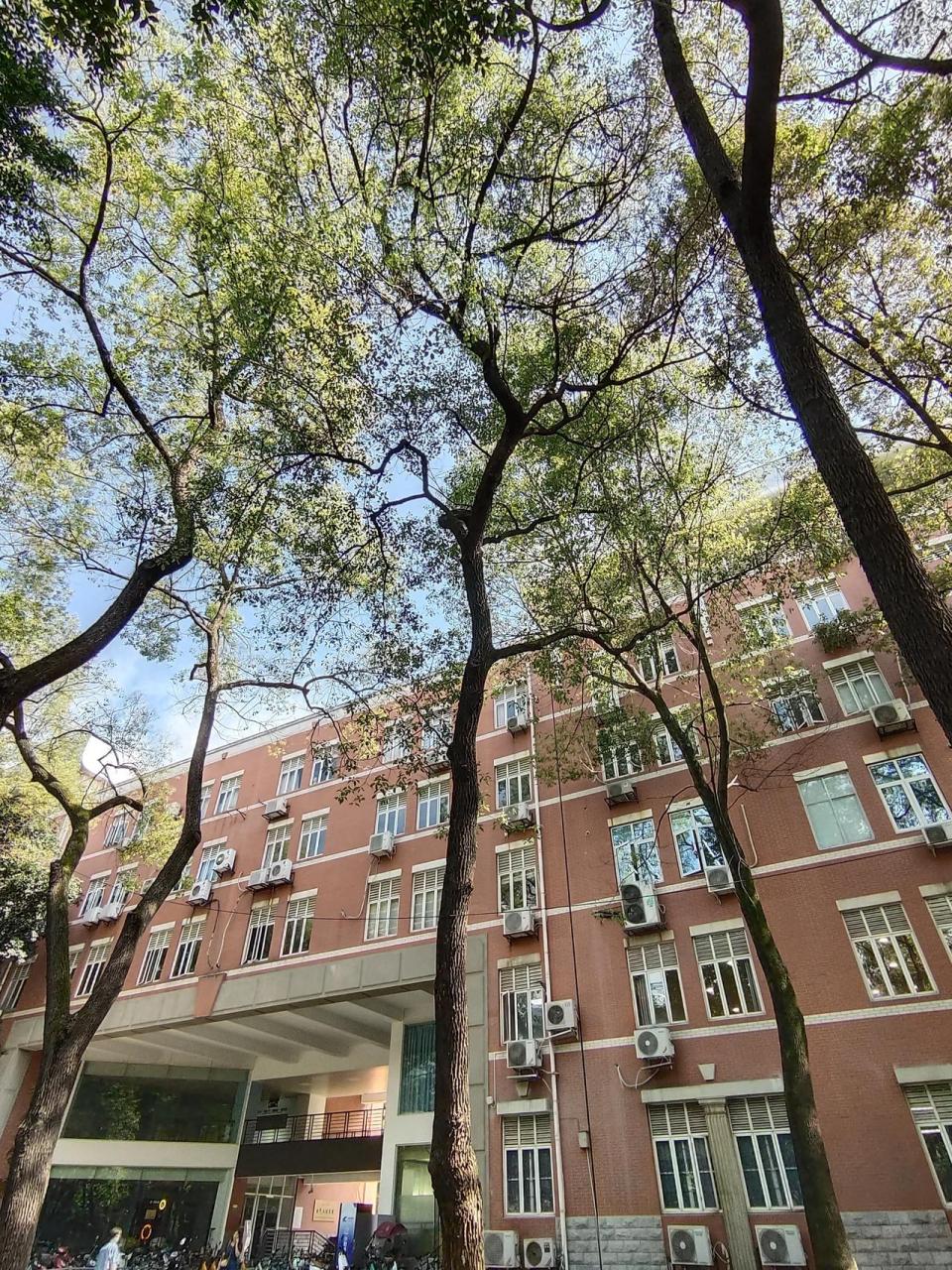 四川大学校园随拍 望江校区 四川大学位置很好,东门出来就是九眼桥