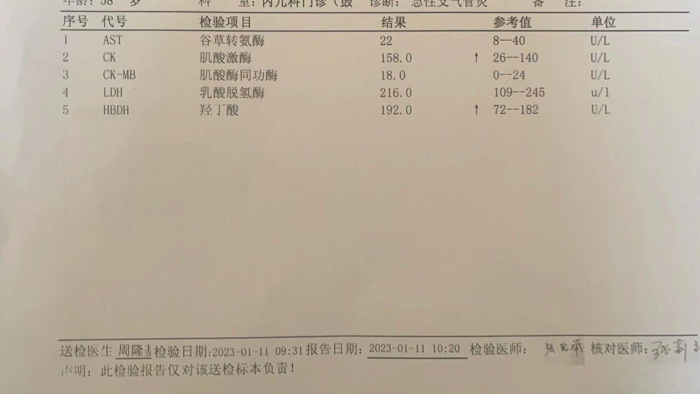 ck高ckmb正常图片