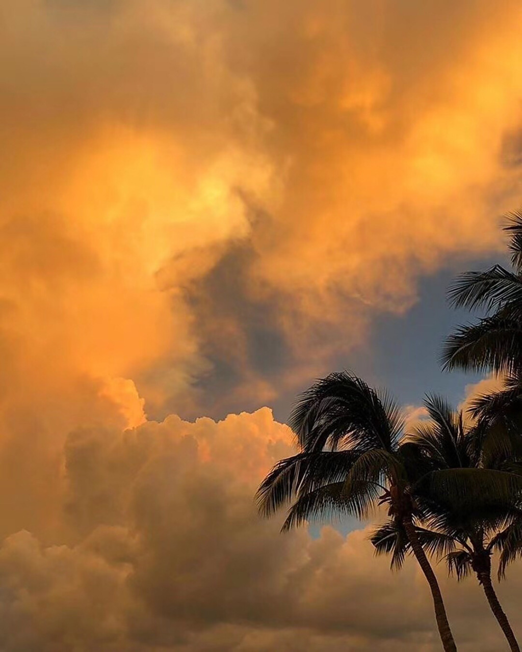 丧句合集 今天真的很丧 万般皆是命 半点不由人 #每日练字打卡