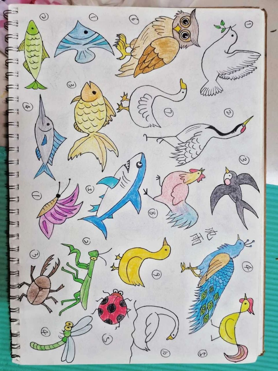 动物简笔画96 图一:鸟类,禽类,鱼类,昆虫类 图二:哺乳类动物(蹄类