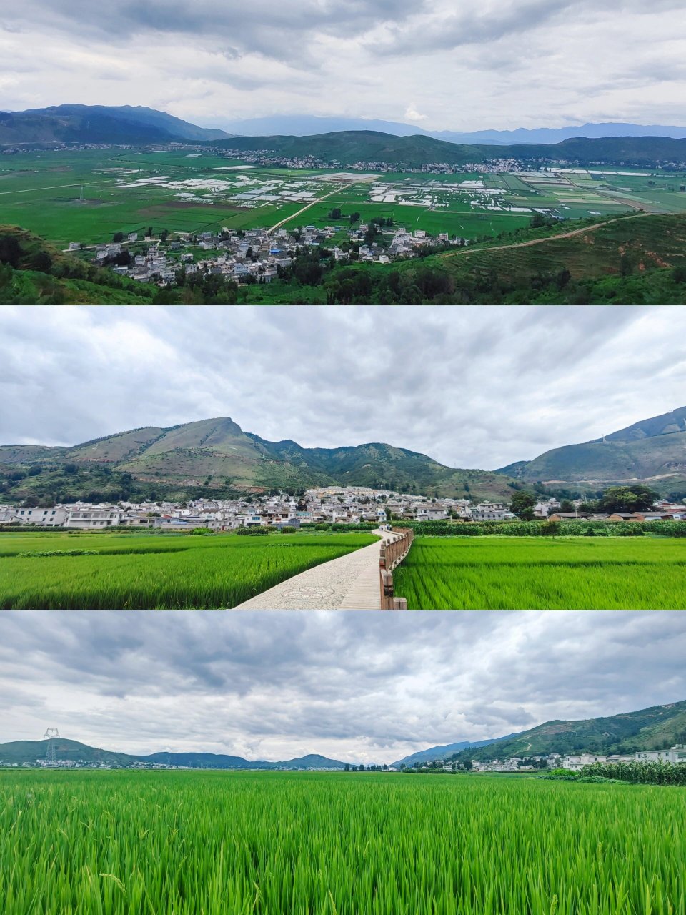 曲靖小众旅游地【白雾村】 地点:会泽县白雾村 交通:自驾导航"白雾村