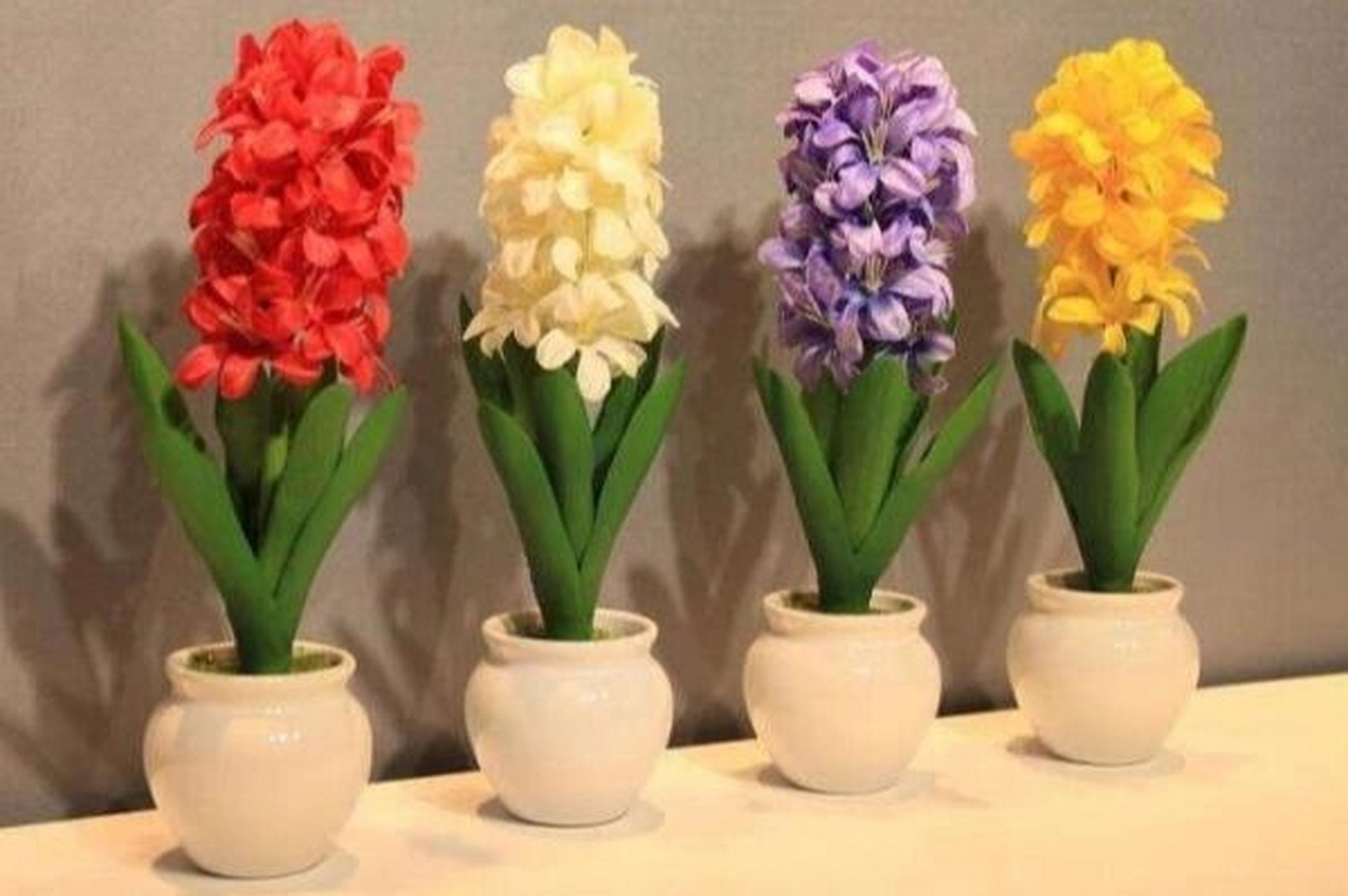 风信子篇📝 1⃣主要颜色: 桃红色,蓝色,白色,深蓝色,淡绿色