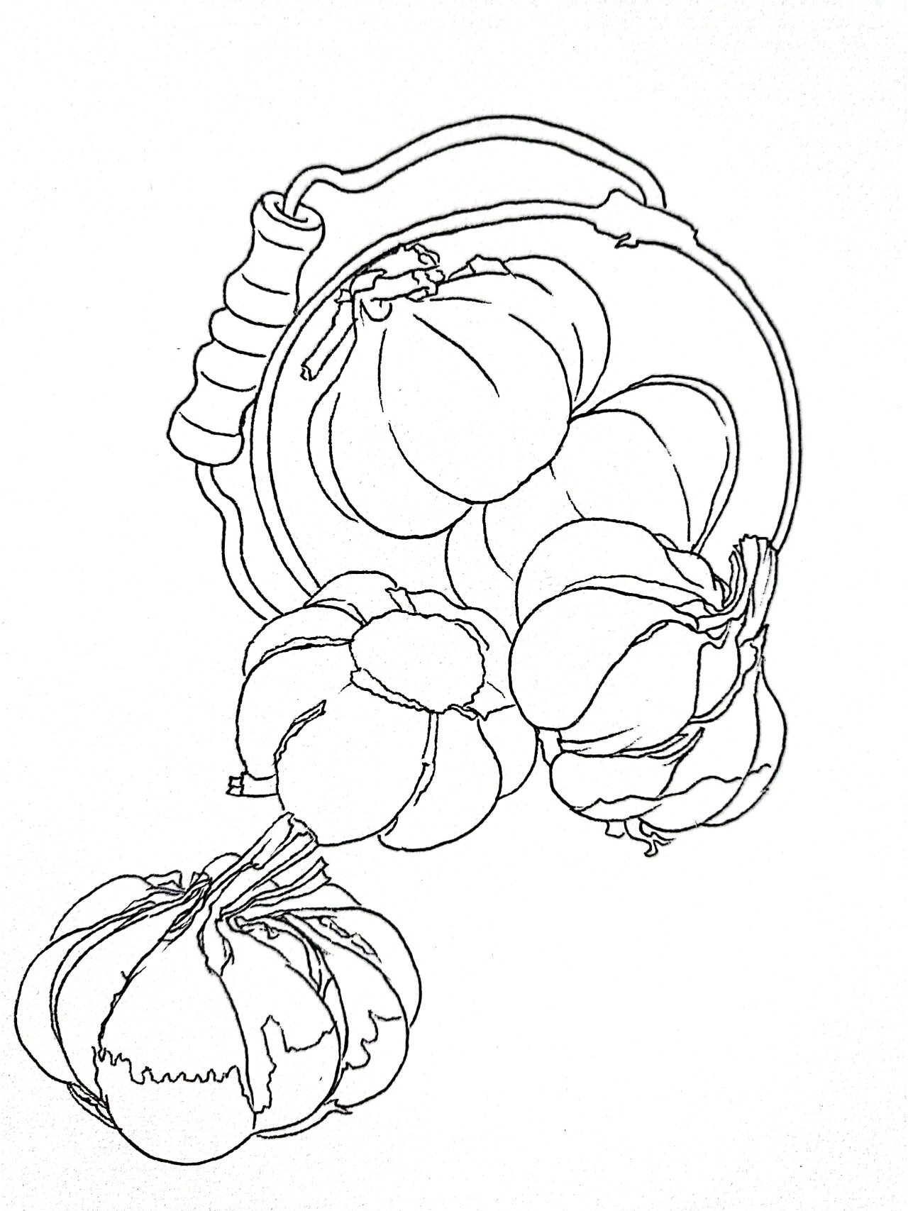 线描写生——蔬菜系列之大蒜(含步骤)