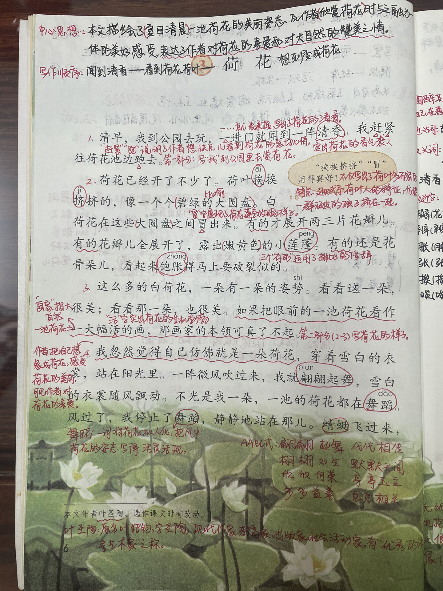 三年级下册语文第三课《荷花》手写课堂笔记