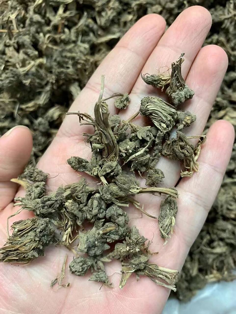 1,猫爪草是一种常见的中药,味道甘甜辛辣.