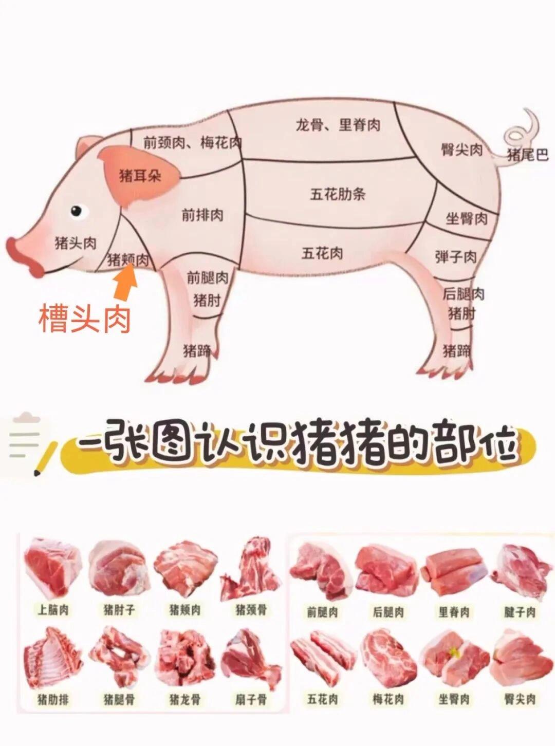 猪脖子肉怎么分辨图片