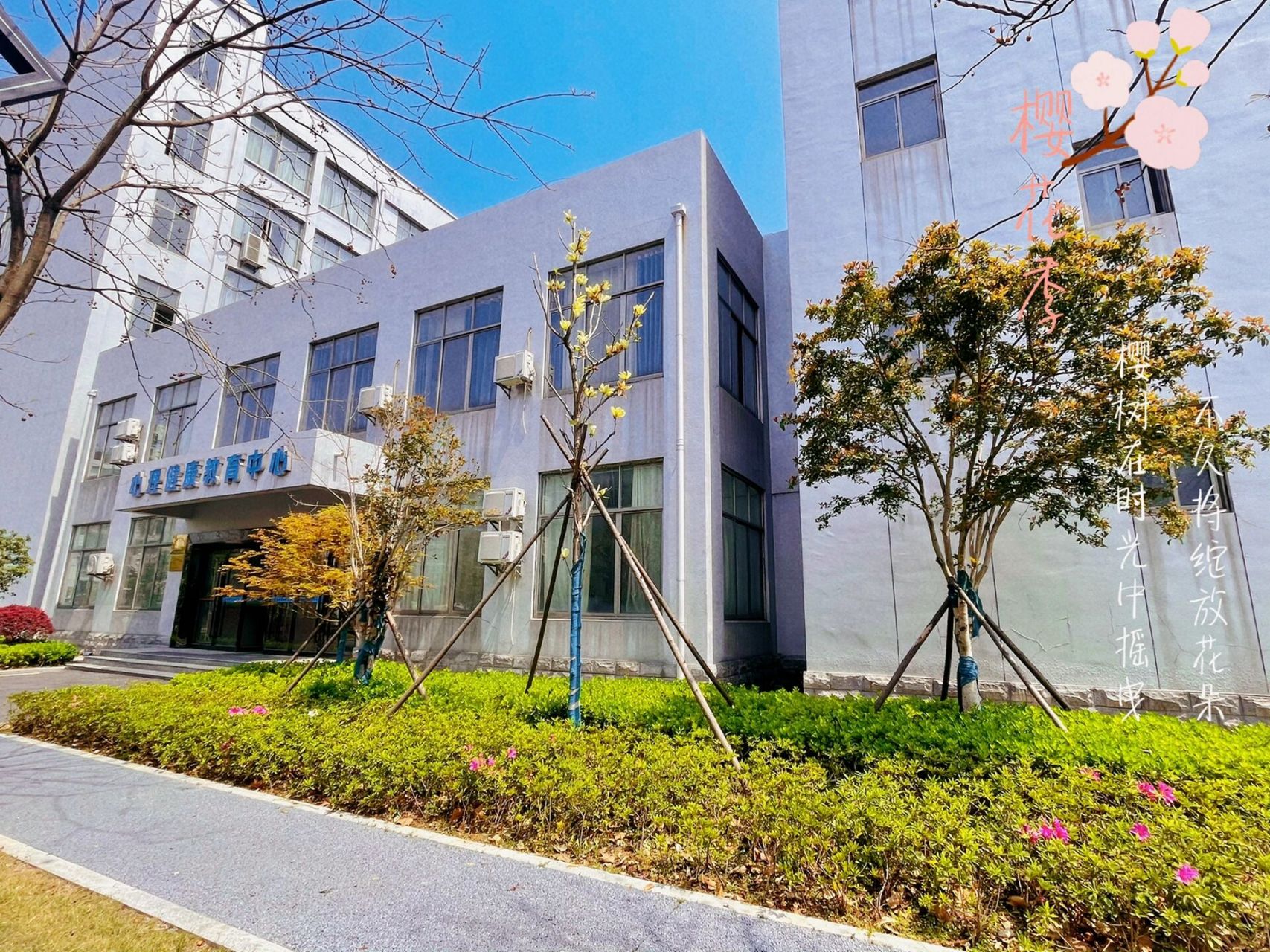 江汉艺术职业学院 春季校园95 阳光真好,老校区的花儿都好可爱