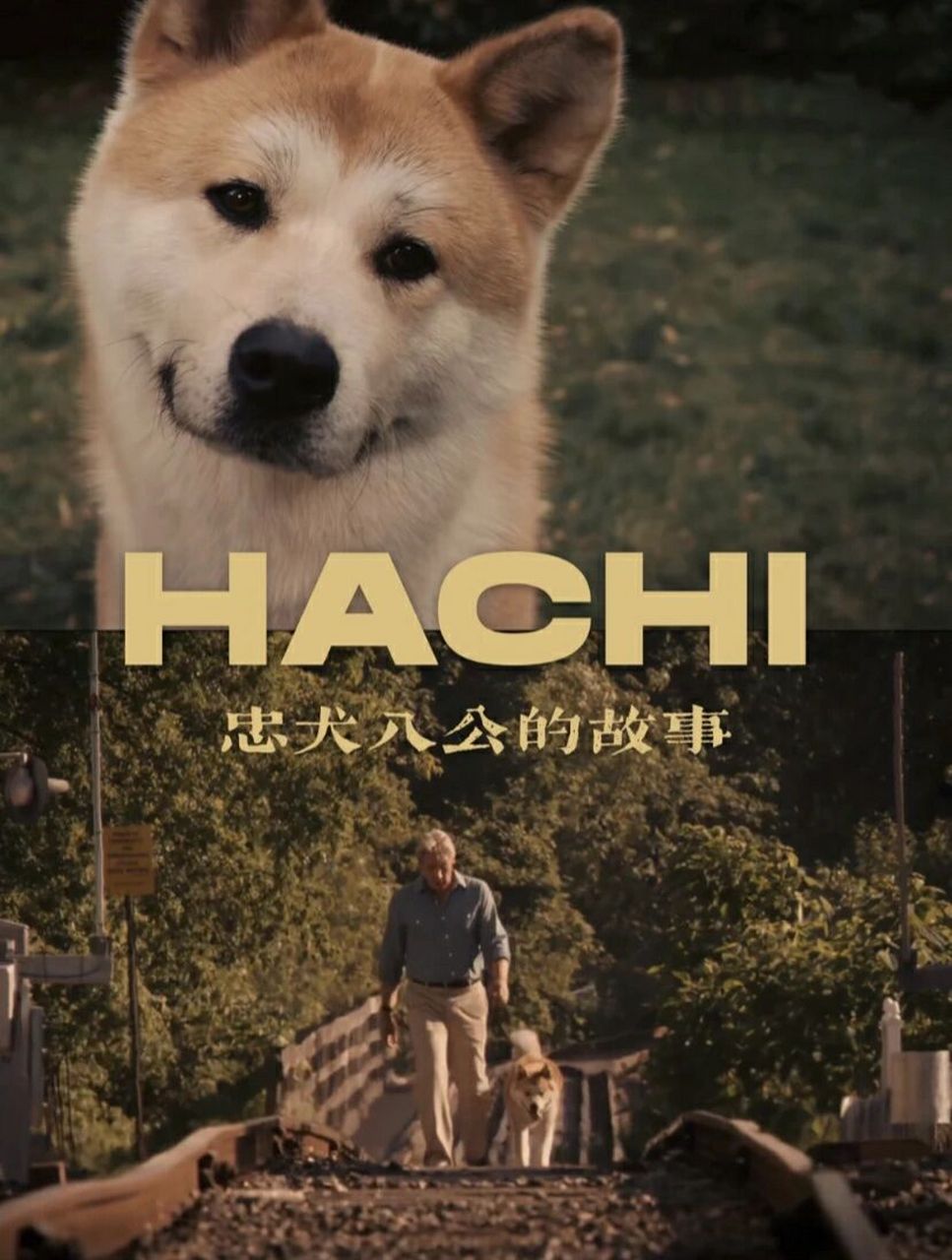 电影推荐‖《忠犬八公的故事》遇见温暖 90电影名称:《忠犬八公的