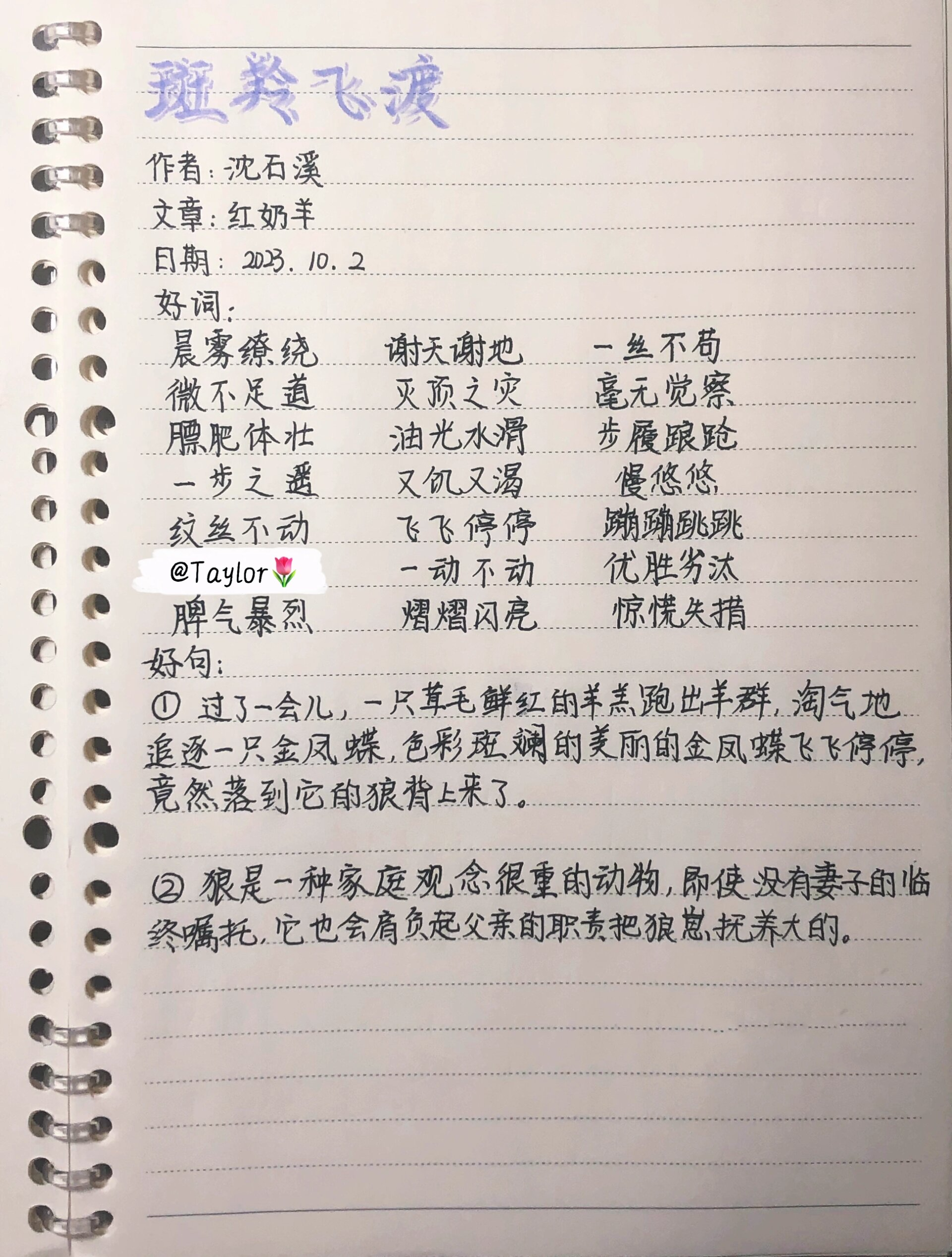 动物远征队读书笔记图片