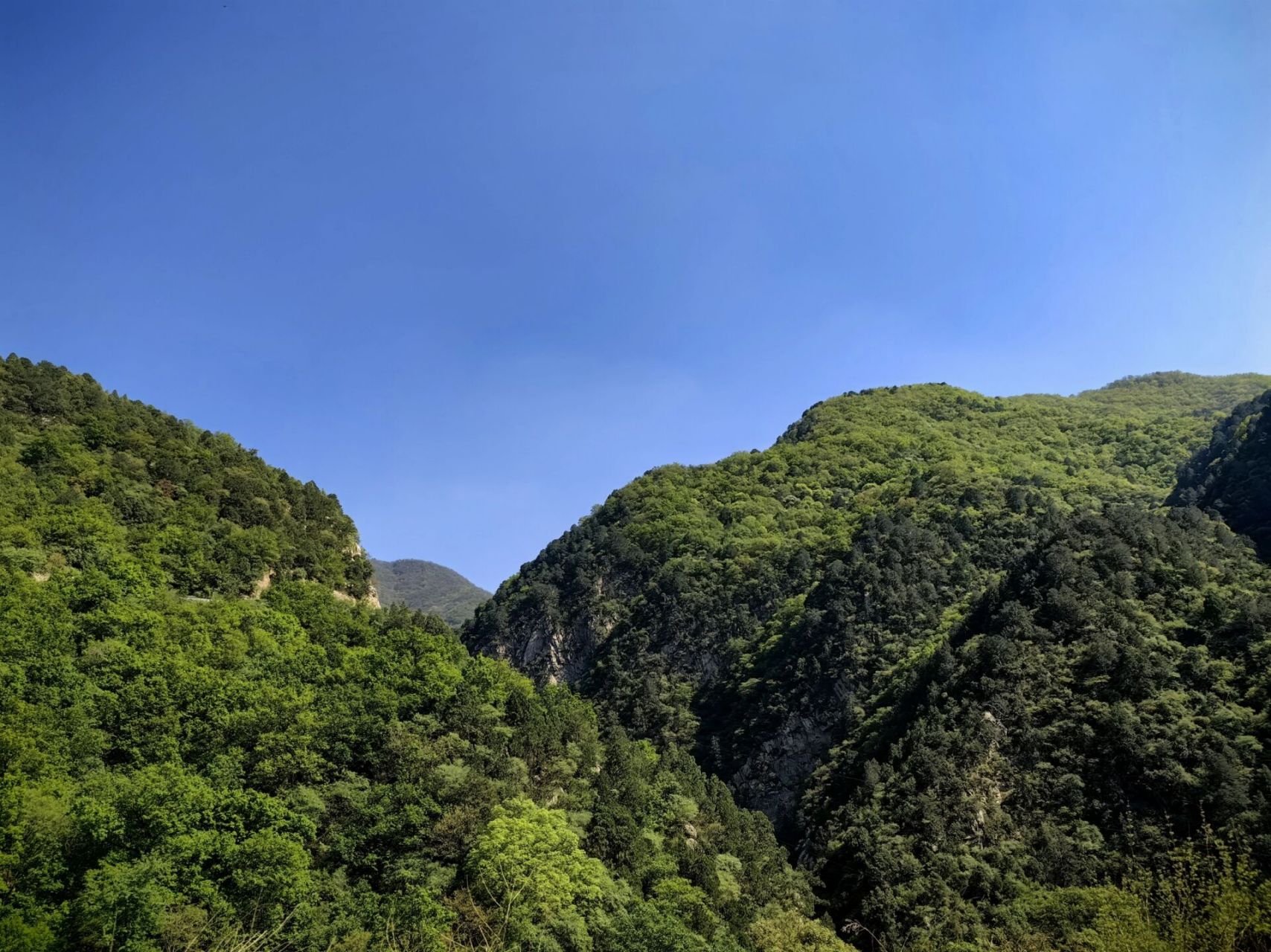 七里峪门票20进山费10,无农家乐,有勇敢牛牛 2.