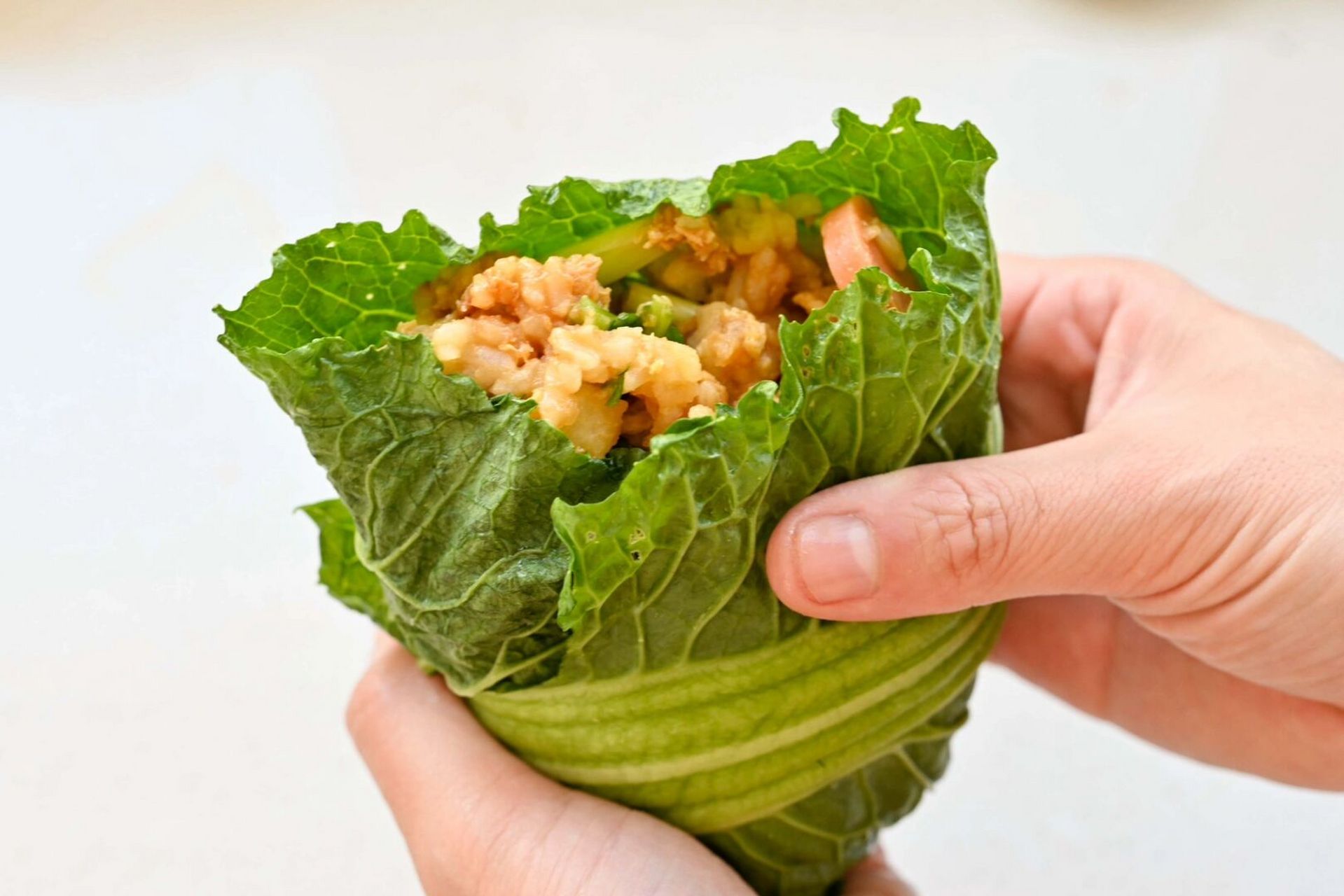 美味的东北饭包～一口满足 今天去朋友家的菜园扯了几片大白菜叶,正好