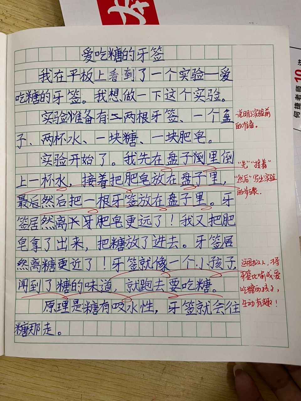 实验作文怎么写图片