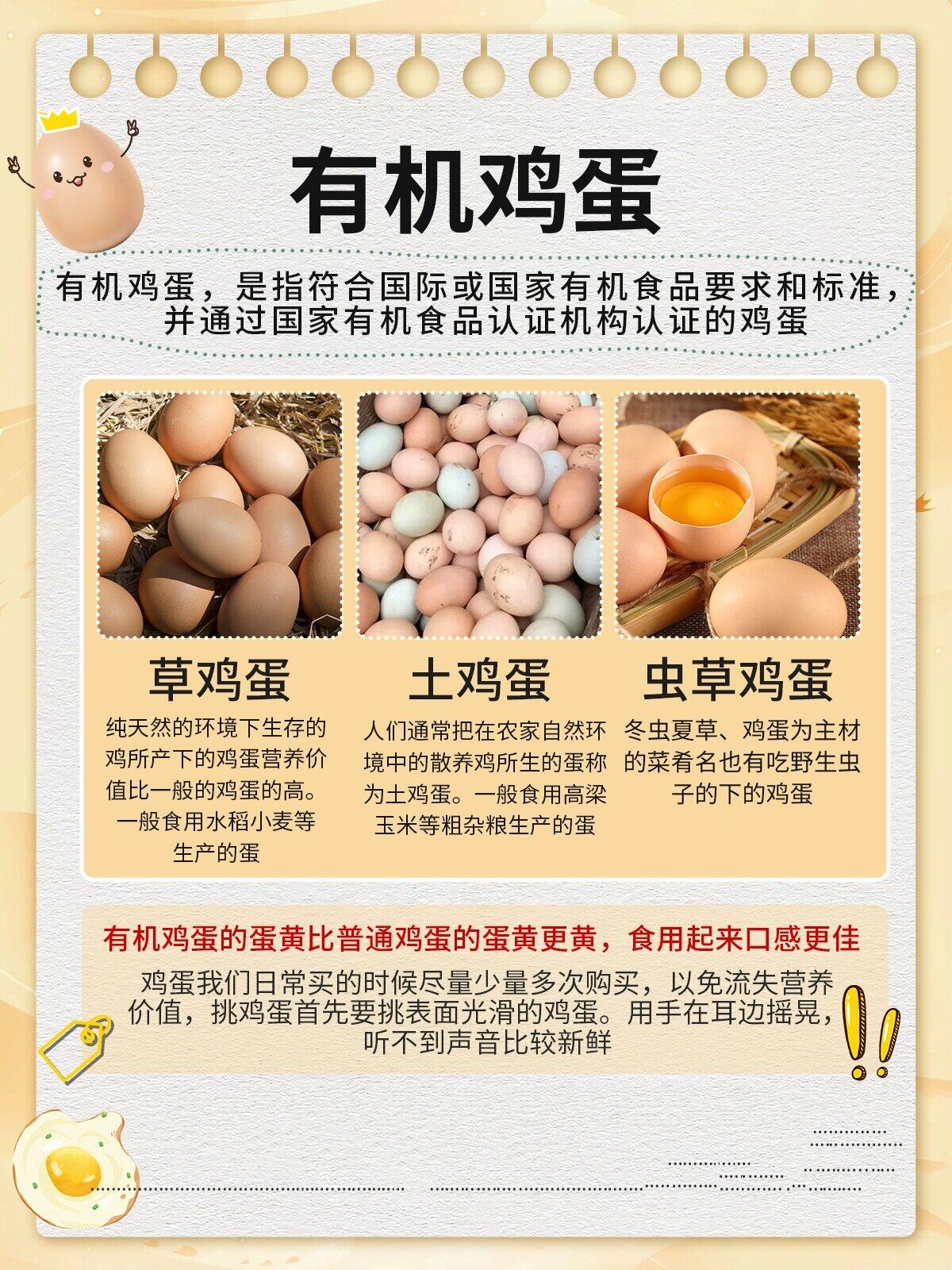 鸡蛋的结构与作用图片