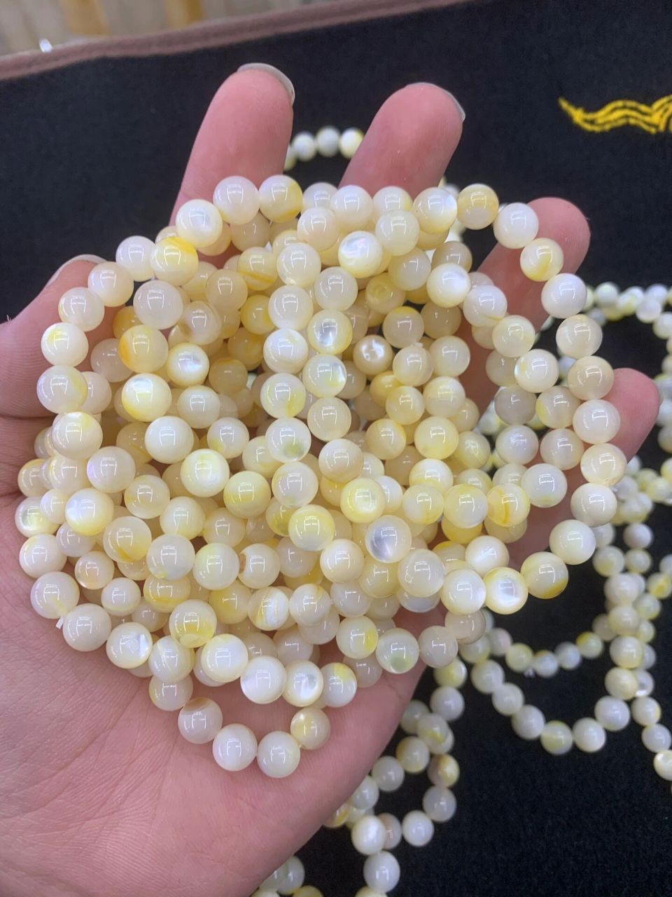 天然深海贝壳 黄金贝7-10mm手链 来自深海的黄金贝 纯天然无添加 颗颗