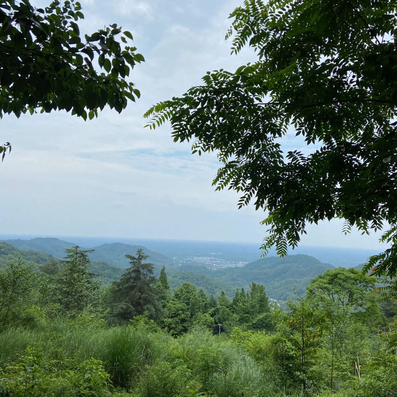 成都避暑,冷门景点,崇州凤栖山,没道理不火         今天这么热,赶紧