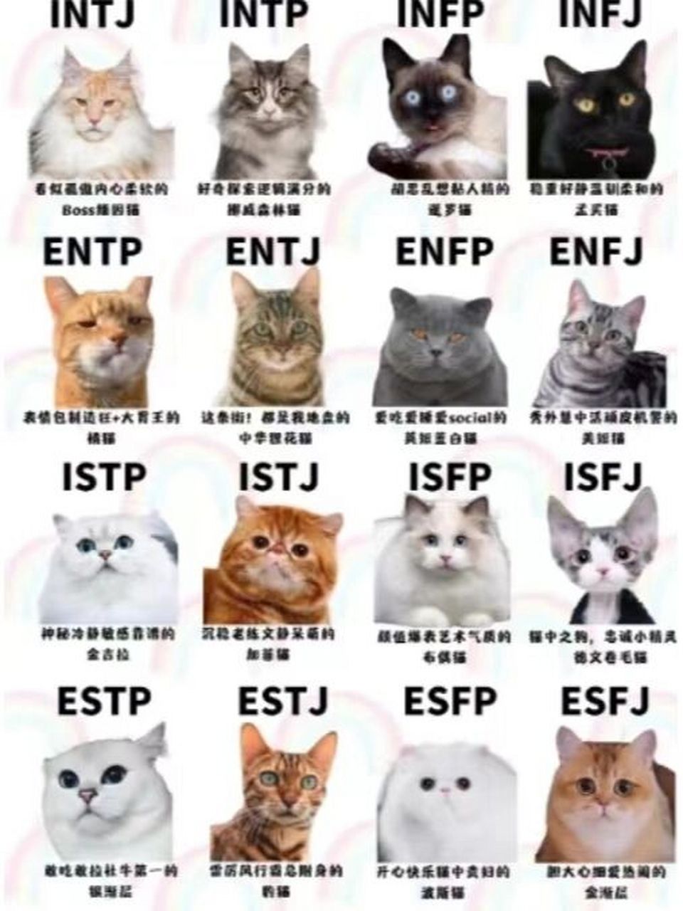 mbti十六型人格都有哪些 1,istj 物流师型人格 2,isfj 守卫者型人格 3