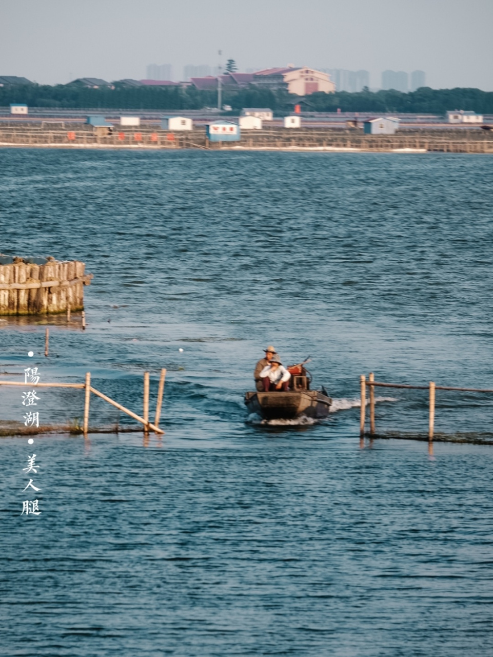 骑行阳澄湖美人腿半岛 #苏州历史地理人文美食#09:阳澄湖美人腿半岛