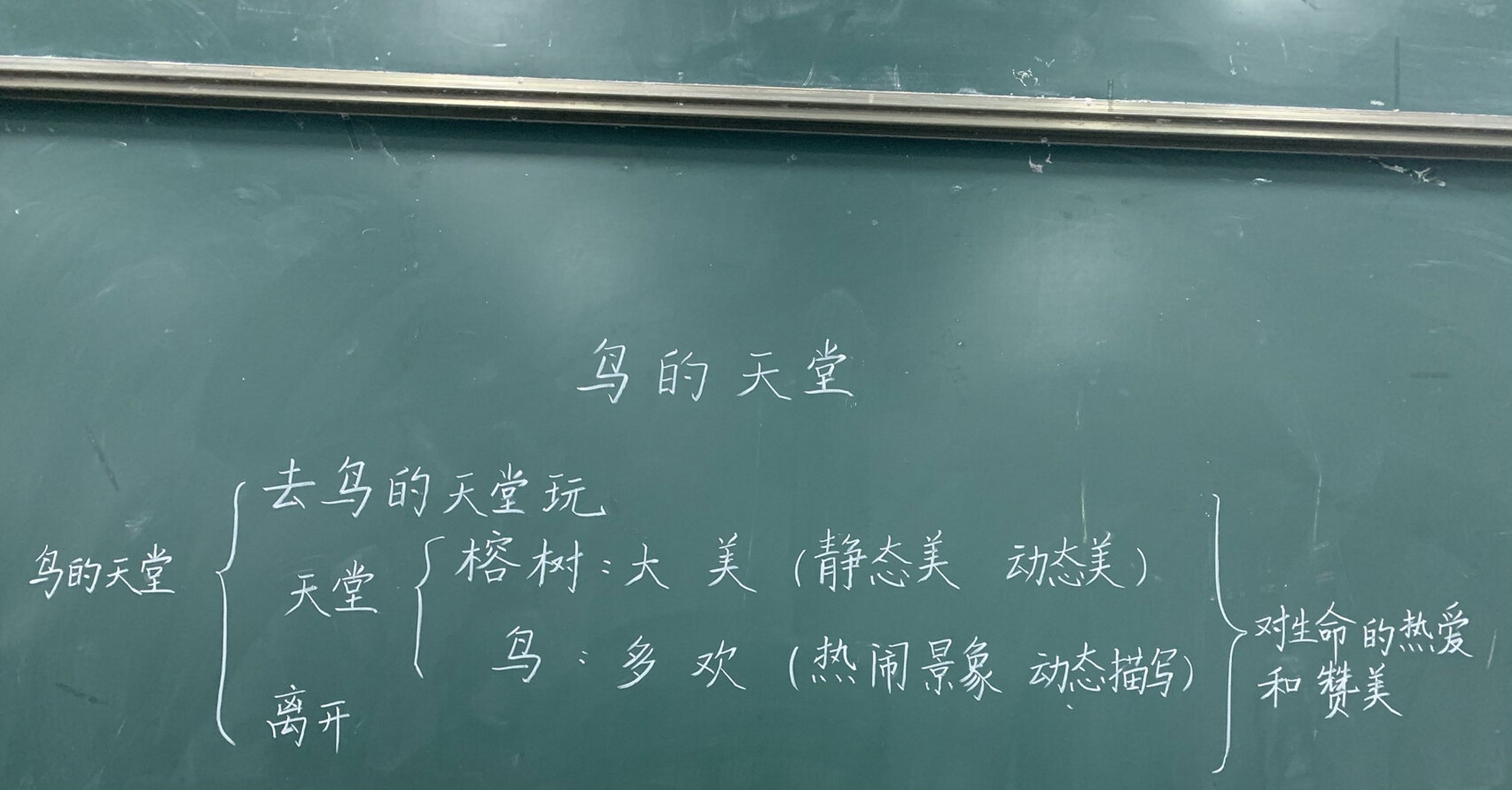 鸟的天堂之思维导图94 板书设计