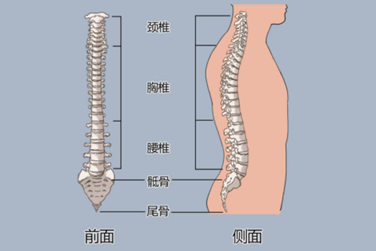 腰椎间盘突出图片与正常图片对比