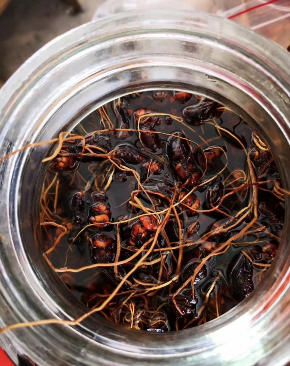 蜂虫草入药的记载,可追溯至公元863年唐代段成式随笔集《酉阳杂俎》