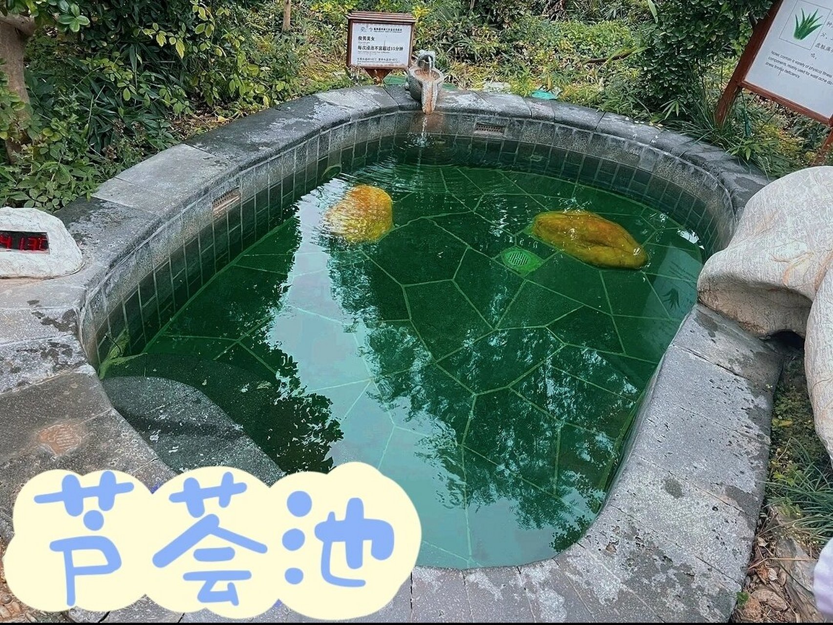 一直想泡温泉7615,昨天去了临朐的揽翠湖天沐温泉,体验感是真的好