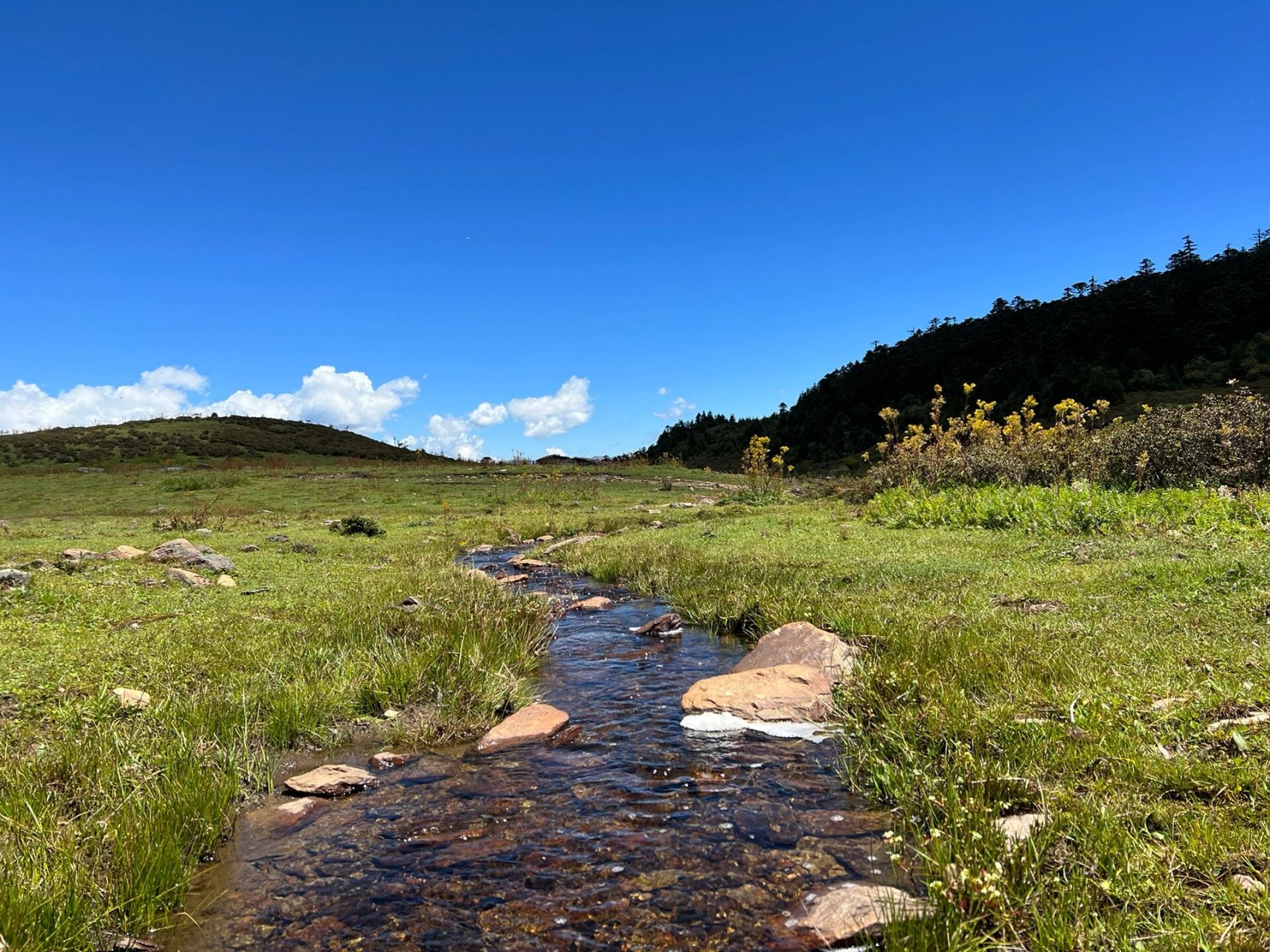 香格里拉小众徒步路线 - 小中甸千湖山 作为云南人,到香格里拉独克宗