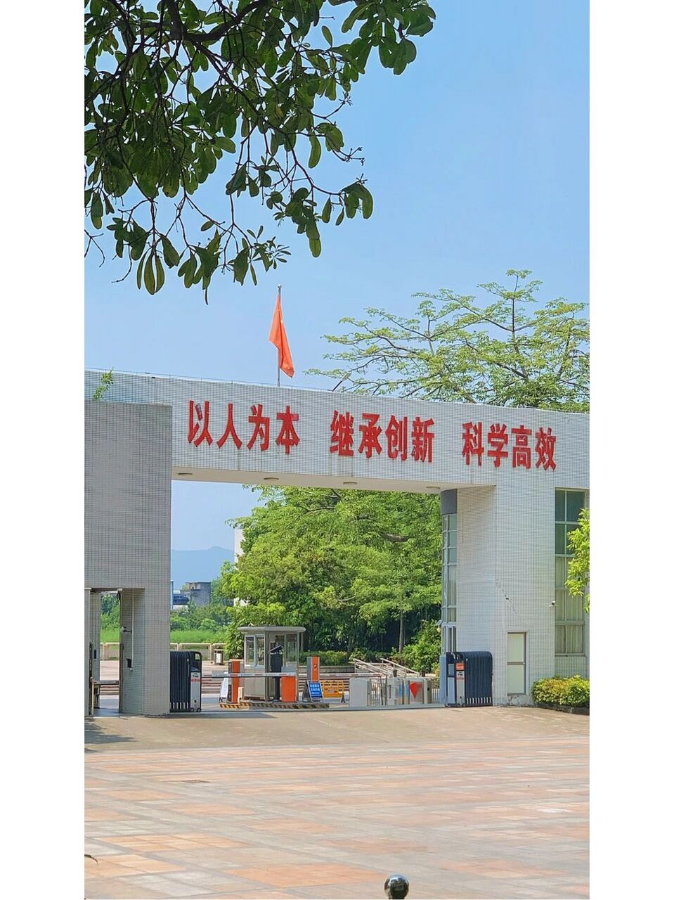 6015揭阳一中校内图73 听说9615103的师弟师妹在找一中图片