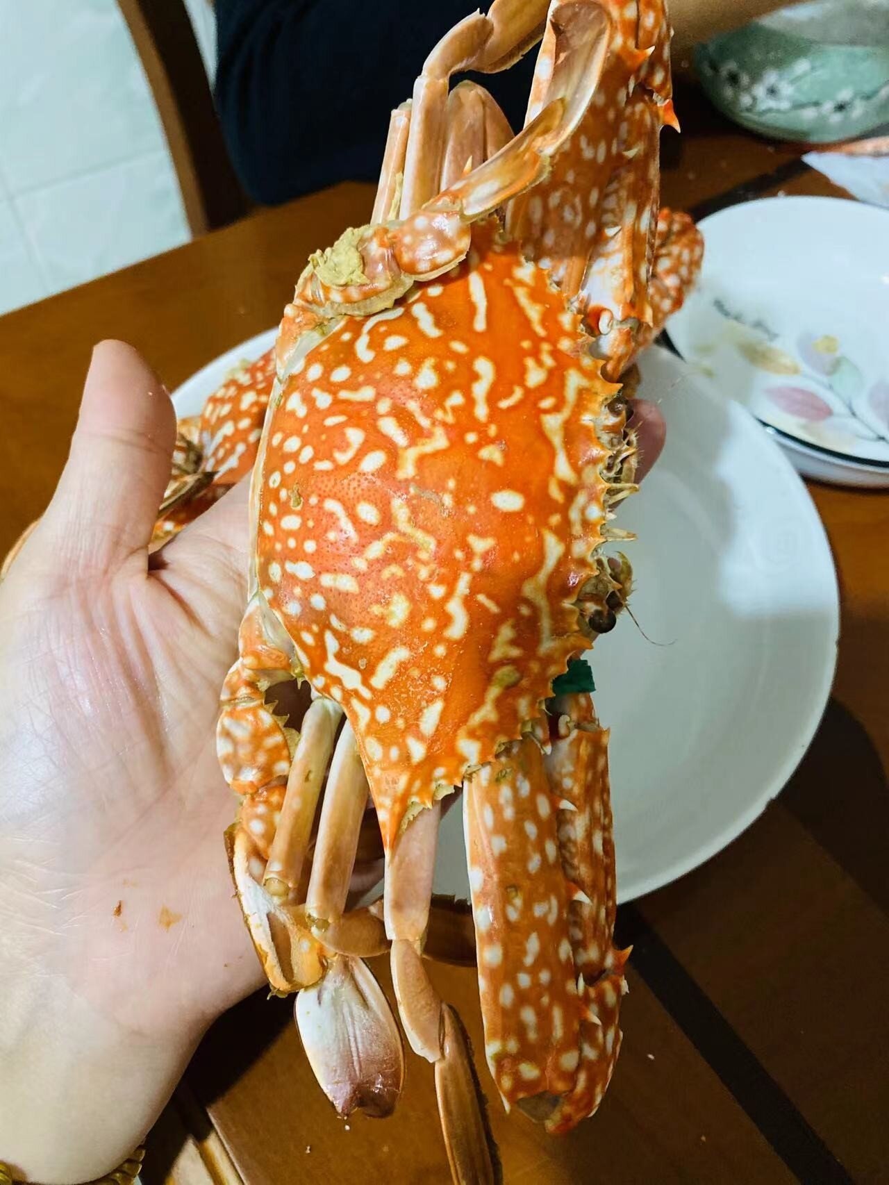 东山岛海鲜活青脚蟹也称为兰花蟹,蟹母,清蒸爆炒壳薄肉质细嫩好吃