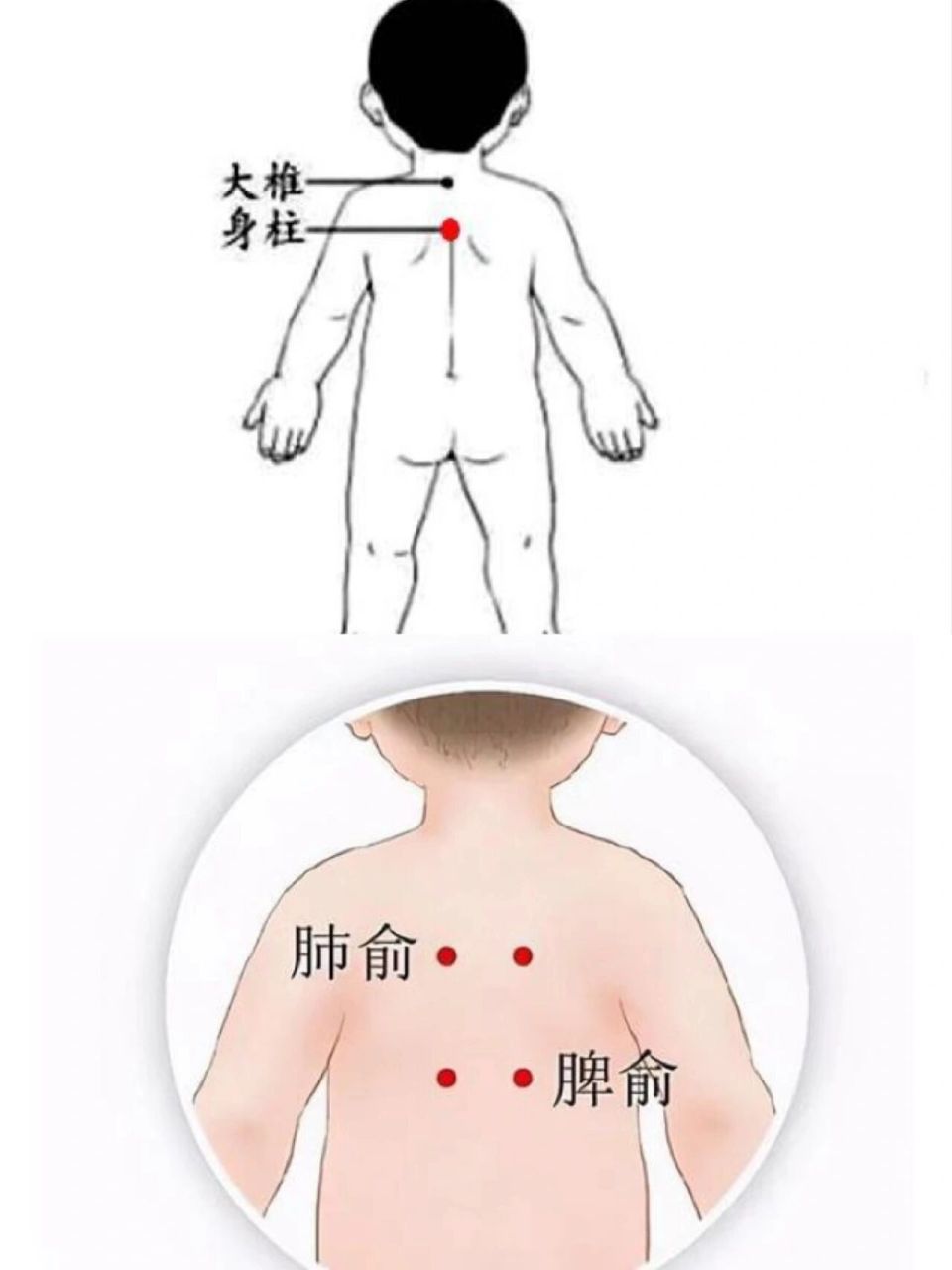 小儿拉肚子艾灸部位图图片