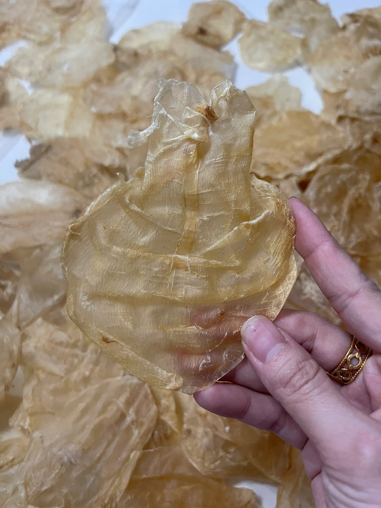 特别好吃97的越南蜘蛛胶,也有人叫做甲肚,48头一斤 特别好吃?