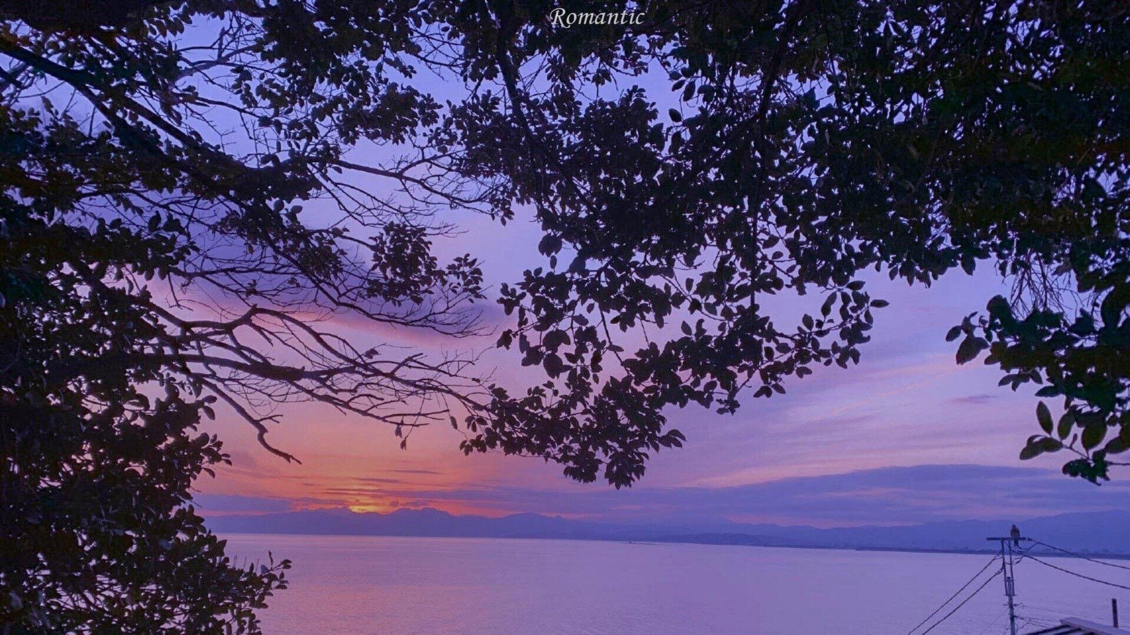 适合紫色平板的壁纸