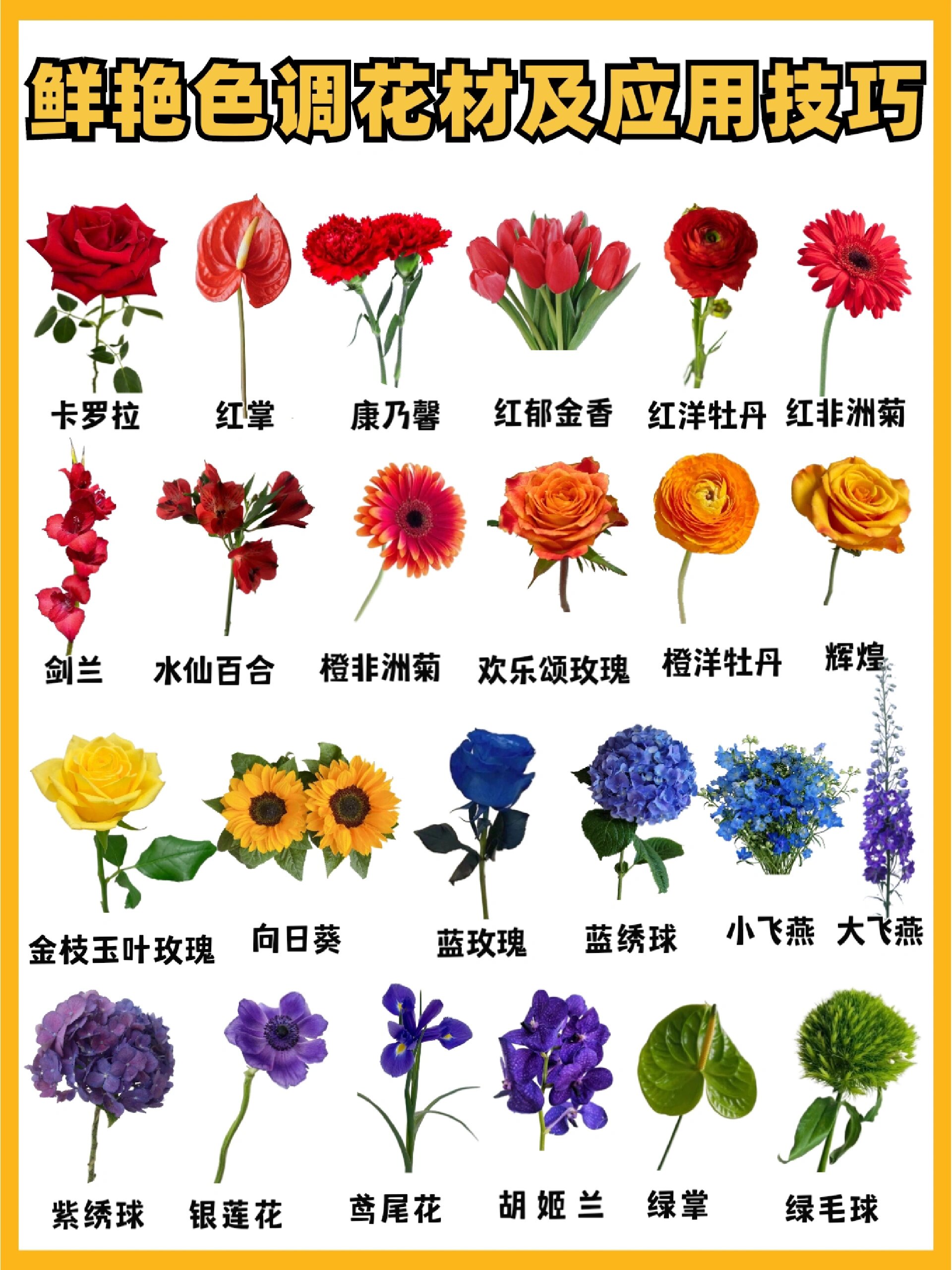 花艺基础知识鲜艳色调花材及应用技巧