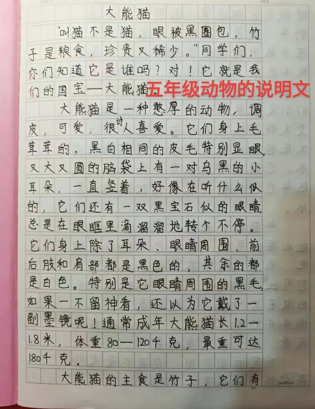 熊猫的资料100字图片