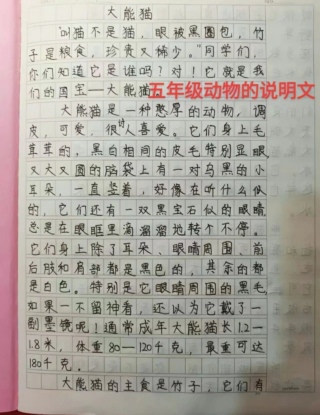 《大熊猫》说明文和资料@大锤show的动态