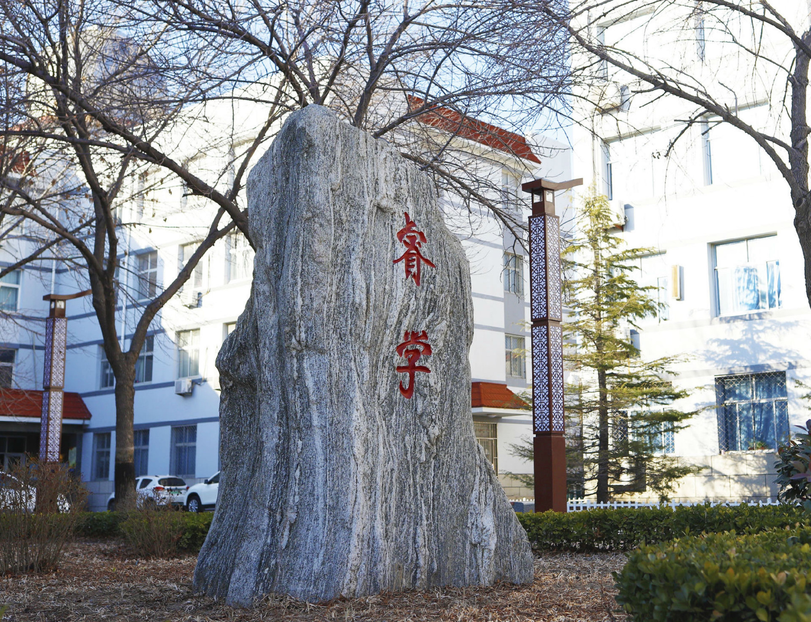 河北省沧县中学校徽图片