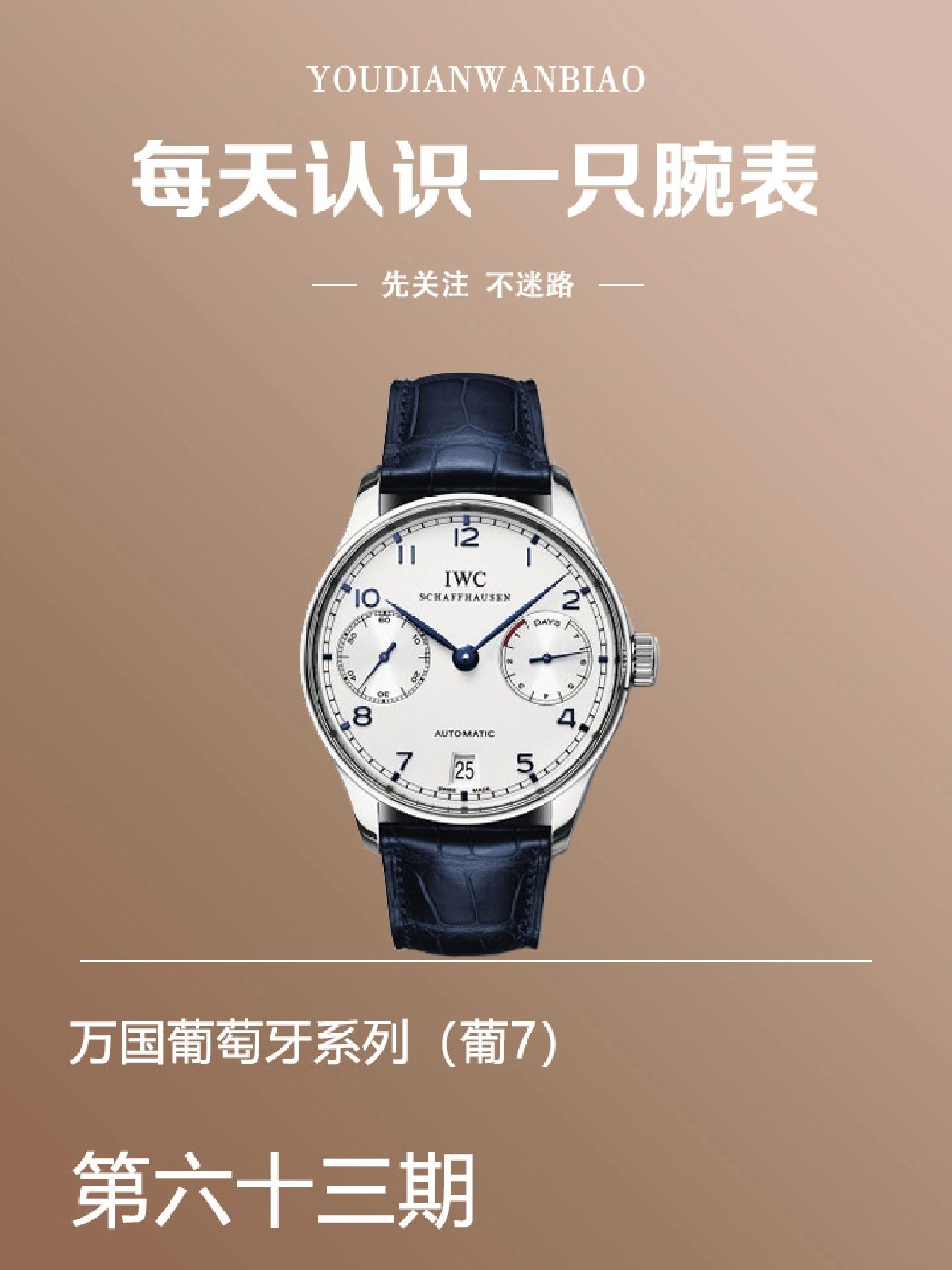 每天一只表:万国葡萄牙系列(葡7)