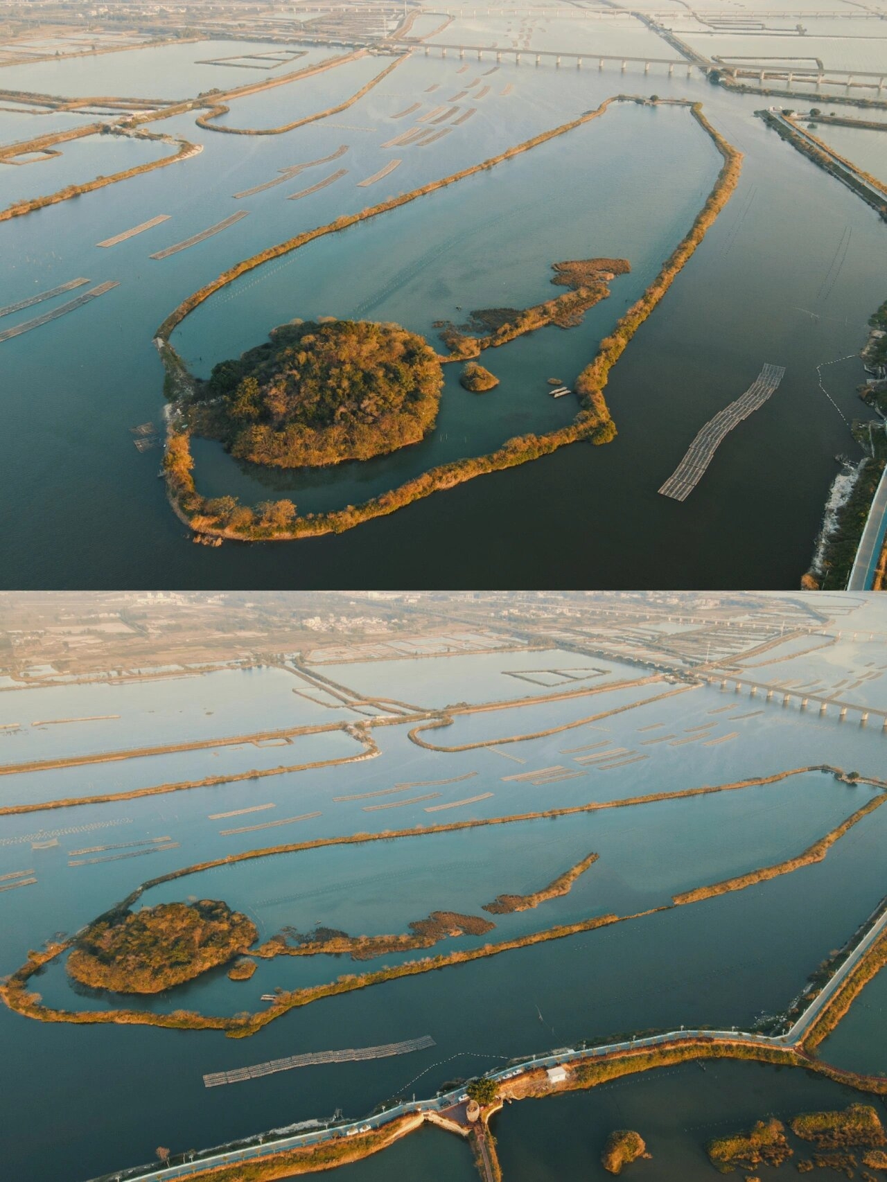 打卡广东唯一"中国水鸟之乡"08湿地公园