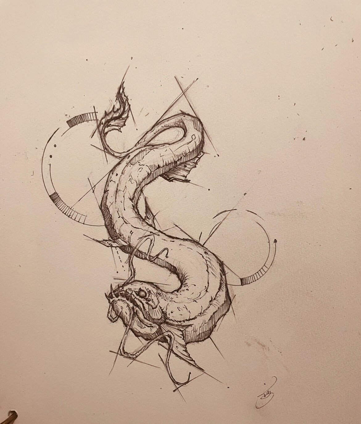 海龙 海鳗纹身 绘画素材分享