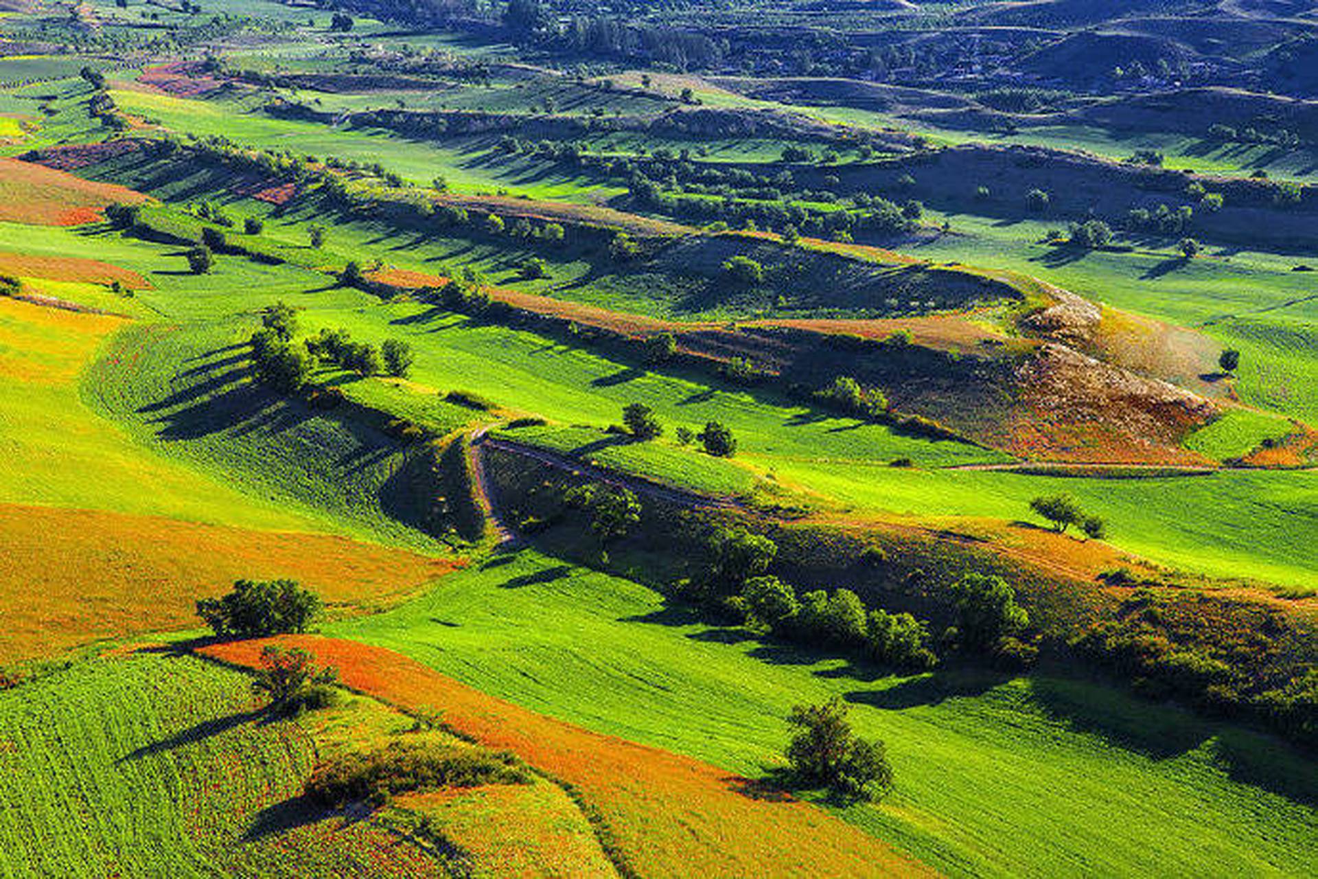 人间的天堂,江布拉克大草原!