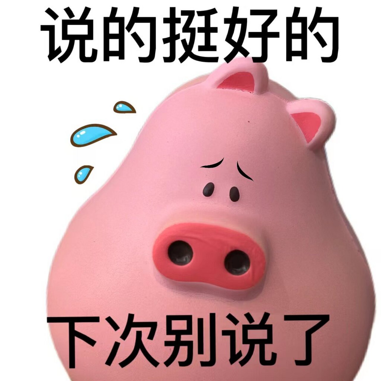 95猪猪表情包 | 说的挺好的,下次别说了 阴阳怪气怎么样?