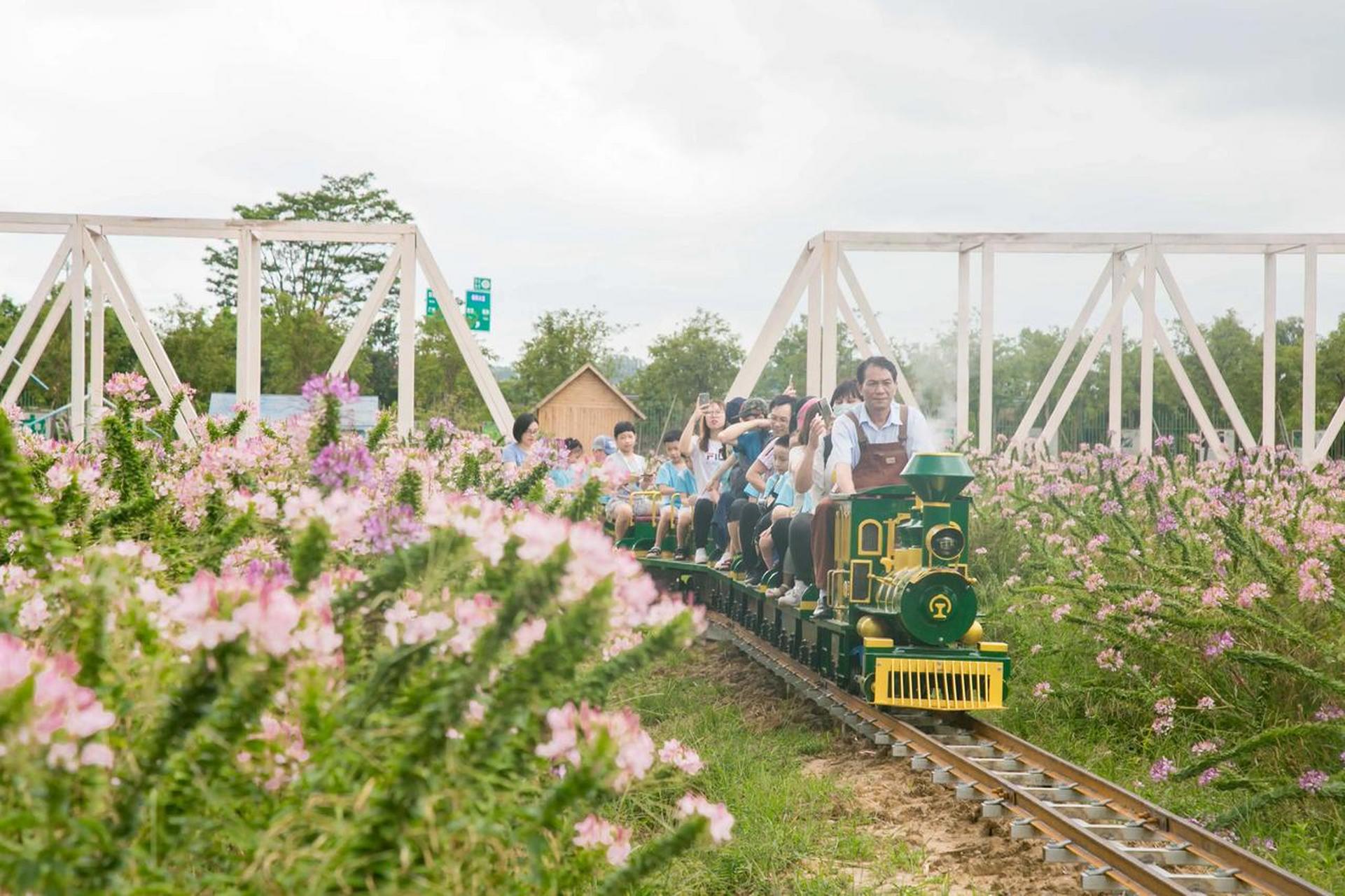 我觉得盈香生态园非常适合一家子去旅游,园区内景观美丽,娱乐设施也
