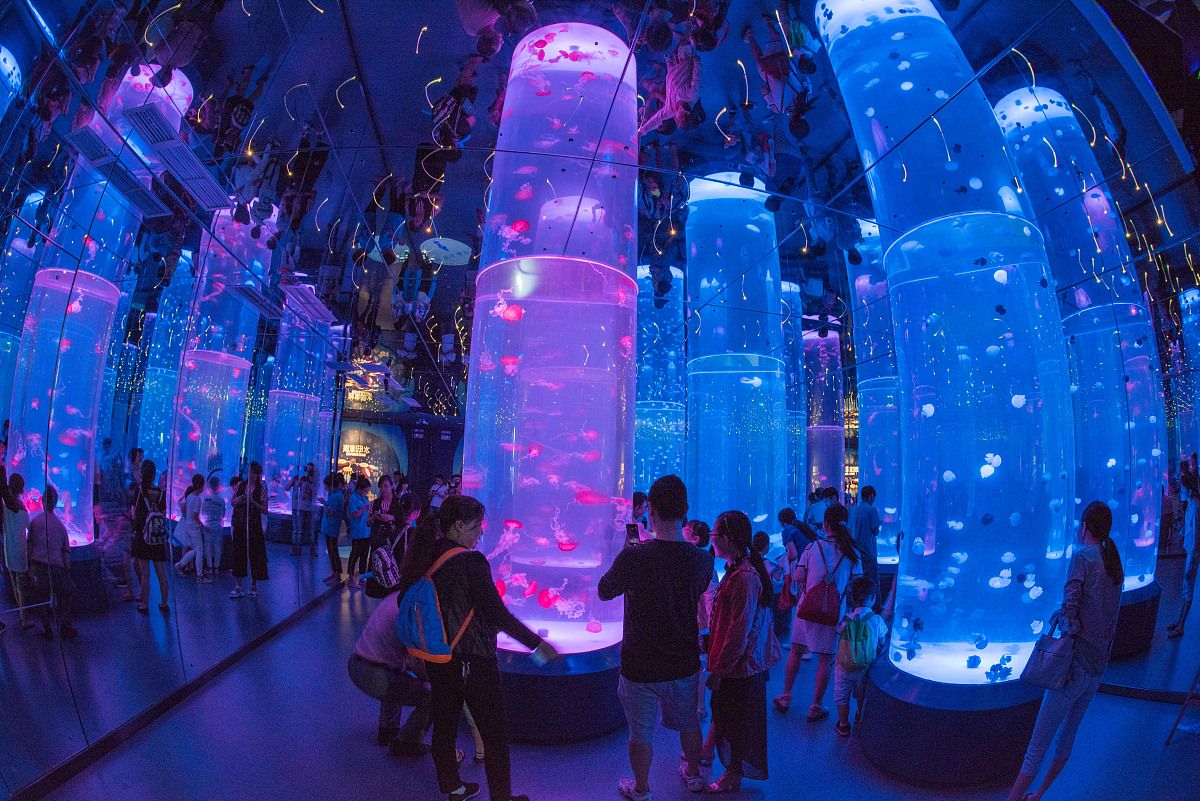 中牟的郑州海昌海洋公园,简直就是亲子游的宝藏地,海洋与极地的梦幻