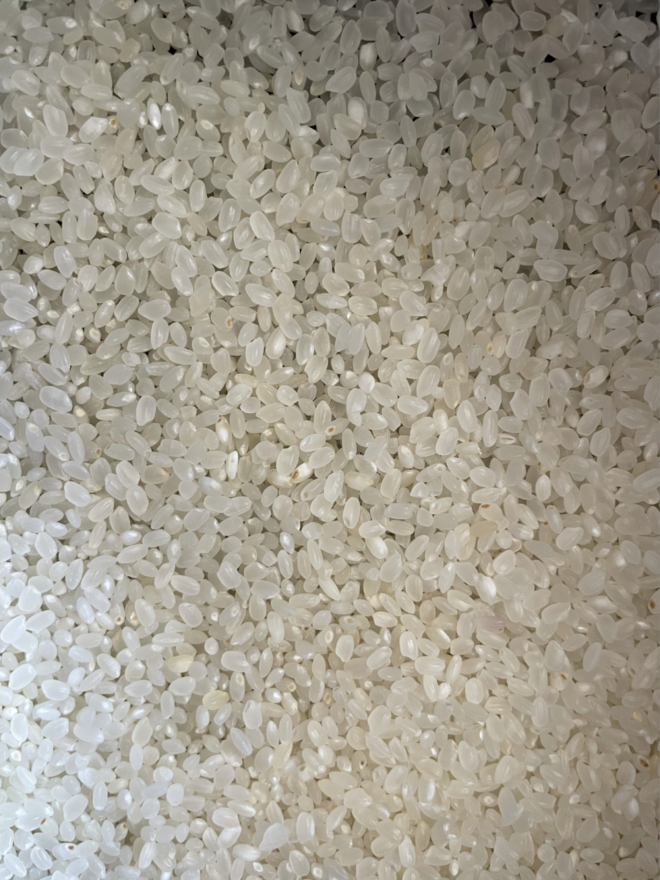 这样的米是发霉了了 第一张图片是开了一个月的,后面两张是刚刚打开的