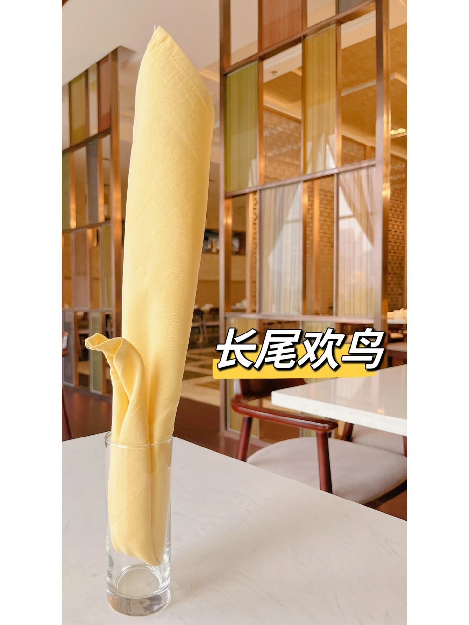 口布折花——杯花～长尾欢鸟 简单易学的长尾鸟,适合放在主位